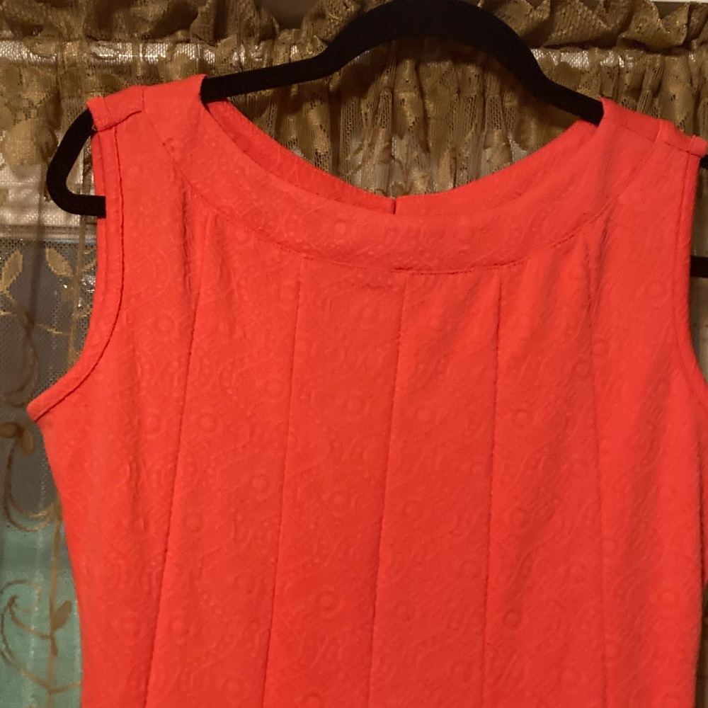 Haani Petite Dress Bundle - Picture 10 of 11